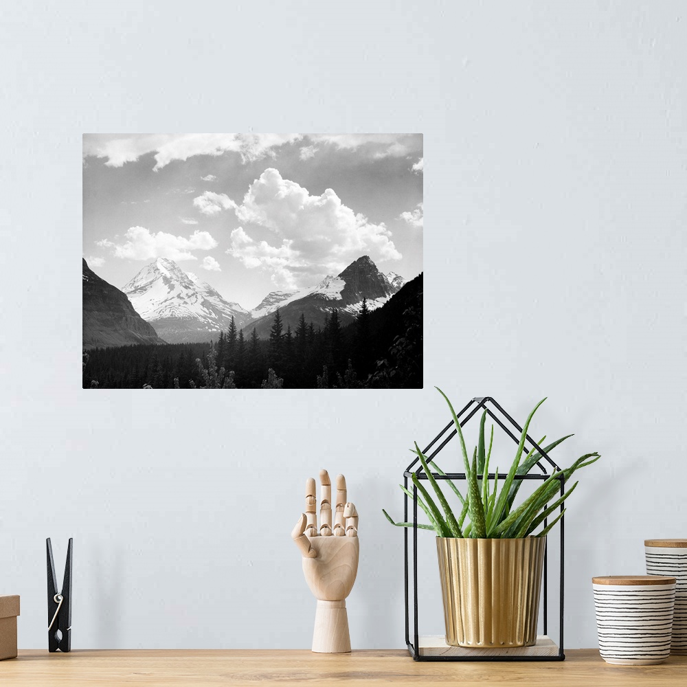A bohemian room featuring In Glacier National Park, looking across forest to mountains and clouds.