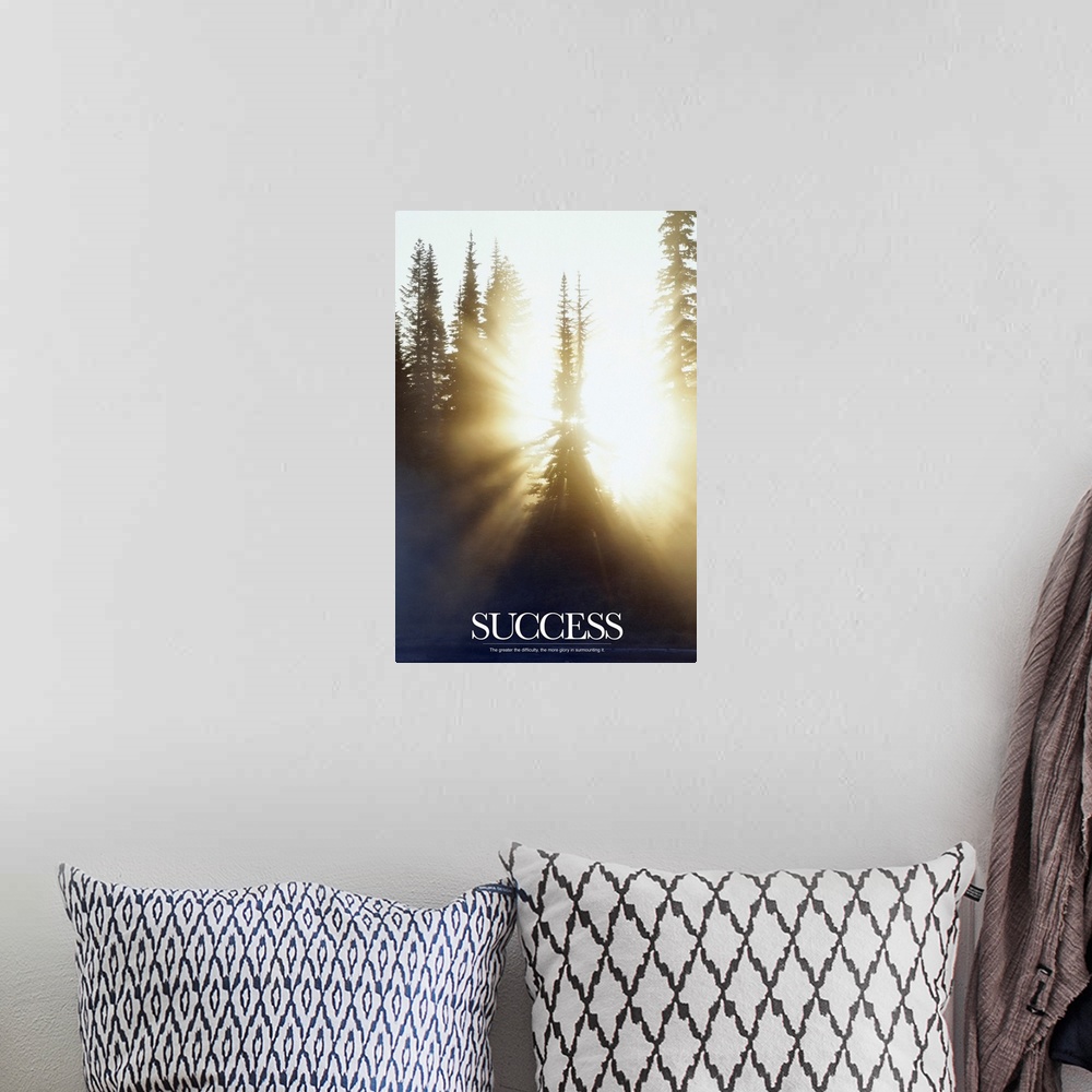 A bohemian room featuring This inspirational poster shows the sun shining through a forest of pine trees with the word "Suc...