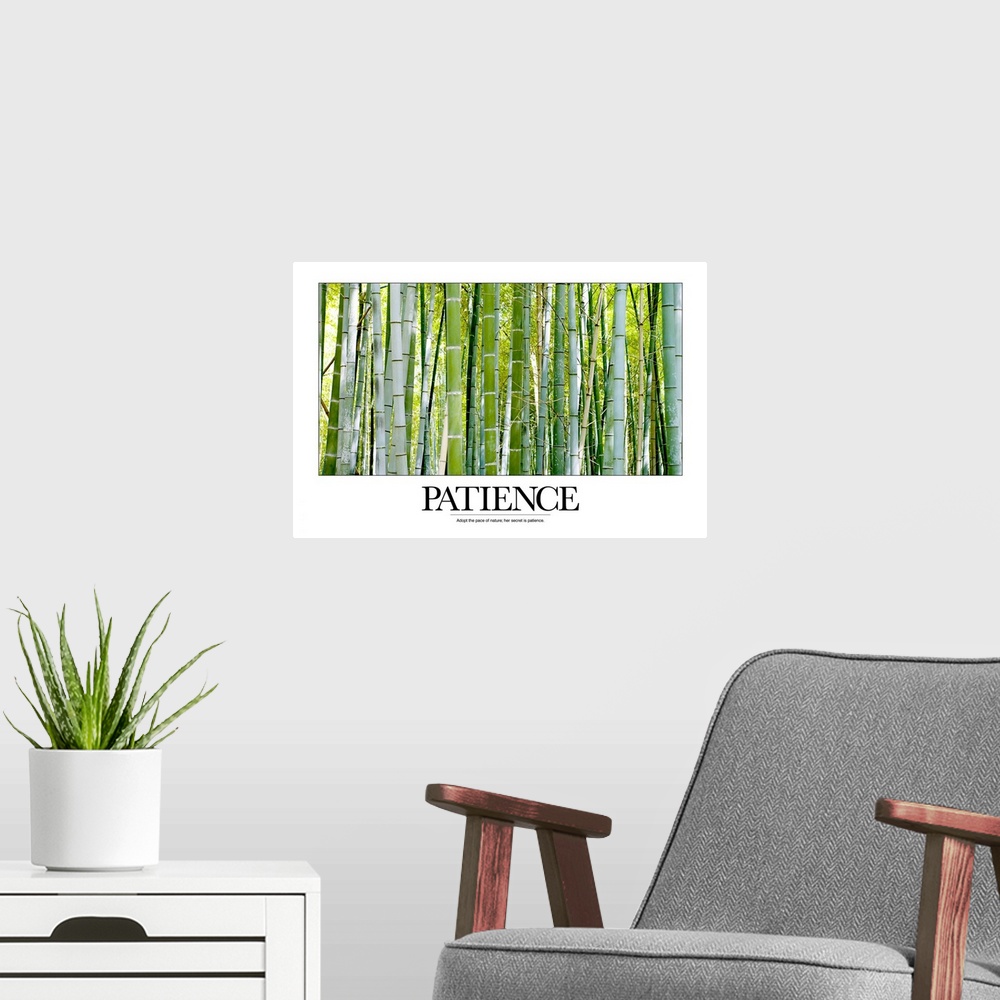 A modern room featuring Patience: Adopt the pace of nature; her secret is patience.