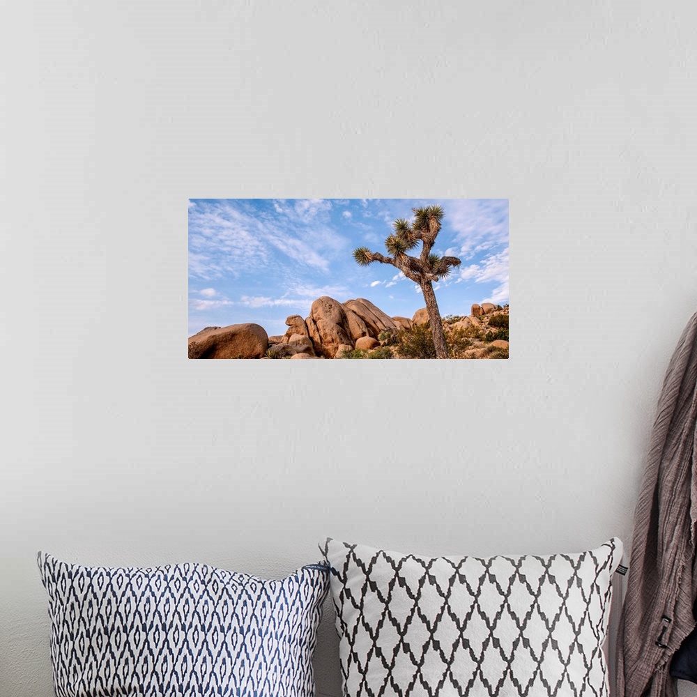 A bohemian room featuring View of a large Joshua tree and desert vegetation in California.