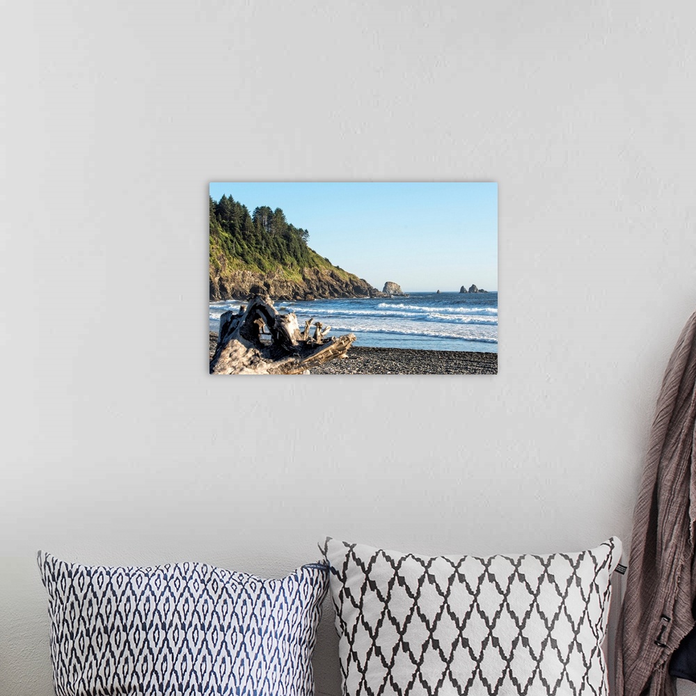 A bohemian room featuring Vibrant photograph of the shore at La Push Beach in Washington.