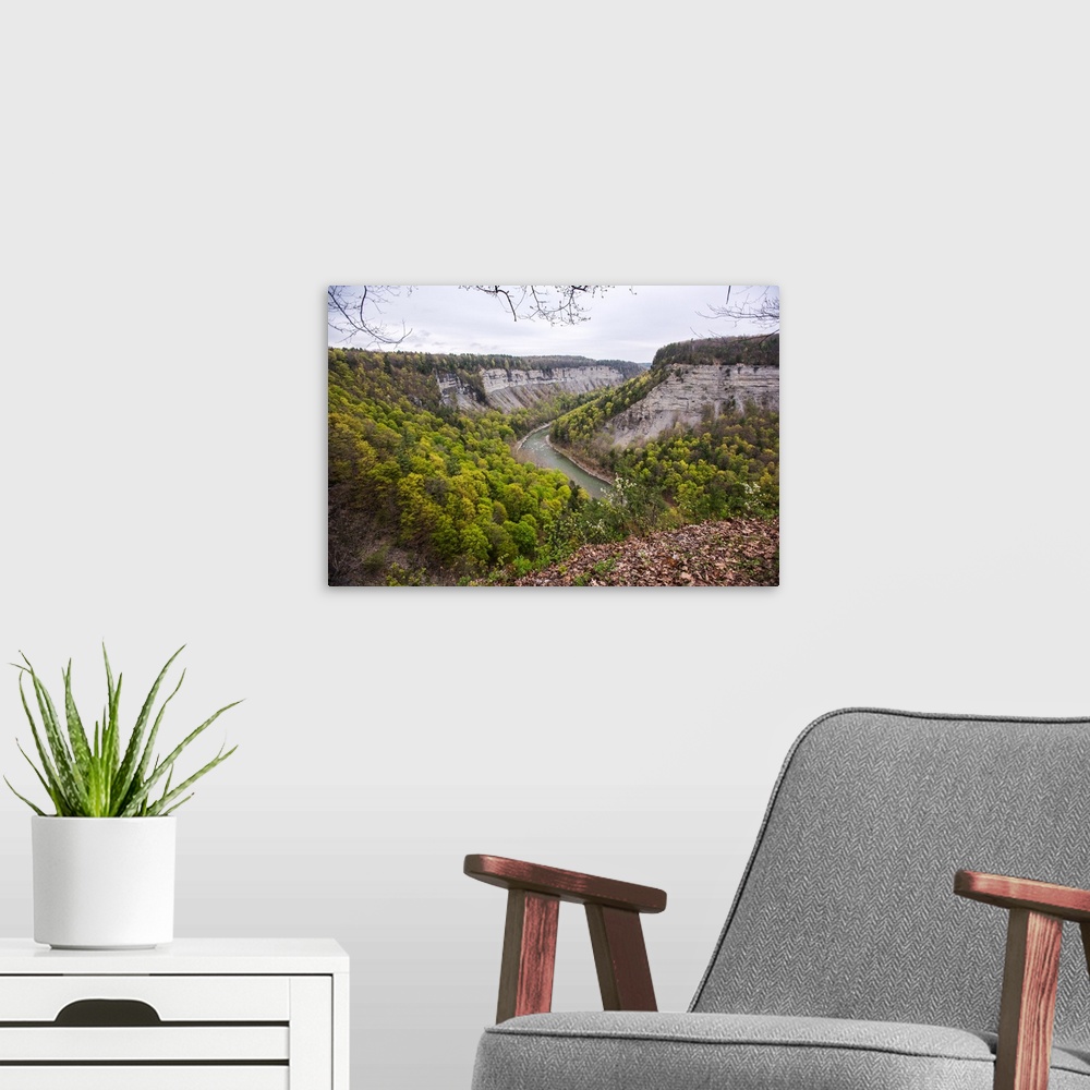 A modern room featuring Landscape photograph of the Genesee River bend in Letchworth State Park, NY, surrounded by trees ...