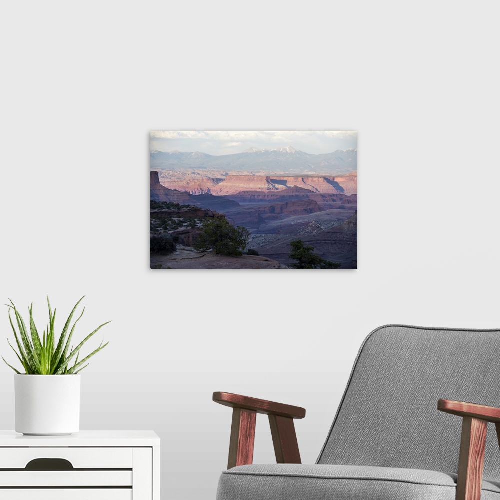 A modern room featuring Sunset light creates a soft pink glow on the eroded mesa formations in Canyonlands National Park,...