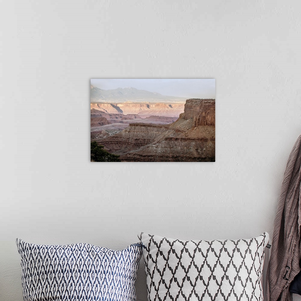 A bohemian room featuring Sunset light creates a soft pink glow on the eroded mesa formations in Canyonlands National Park,...