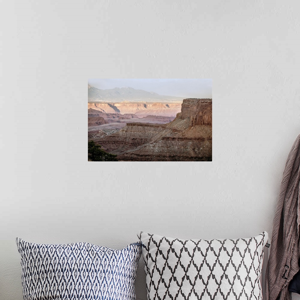 A bohemian room featuring Sunset light creates a soft pink glow on the eroded mesa formations in Canyonlands National Park,...