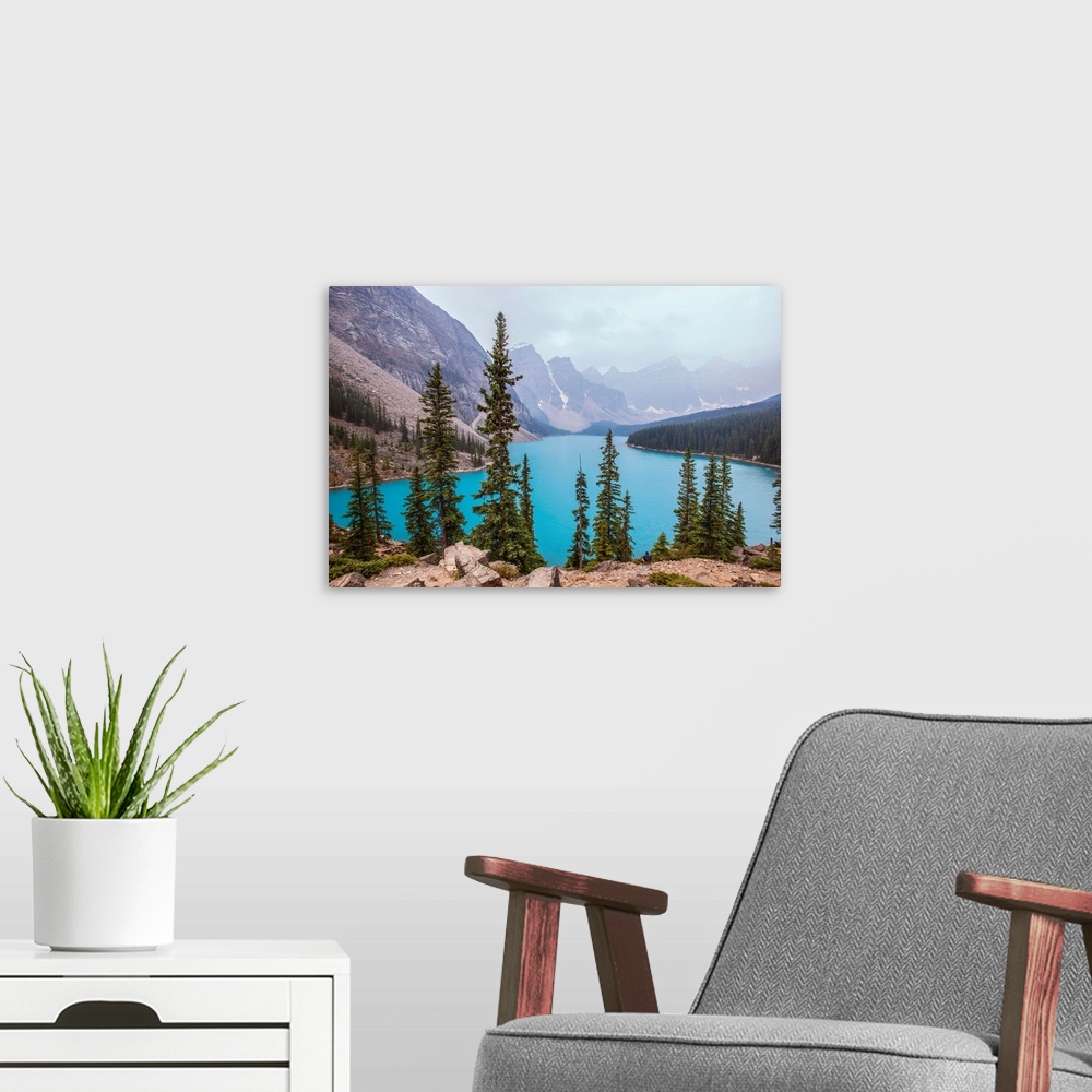 A modern room featuring Lodgepole Pine trees near Moraine Lake in Alberta, Canada.