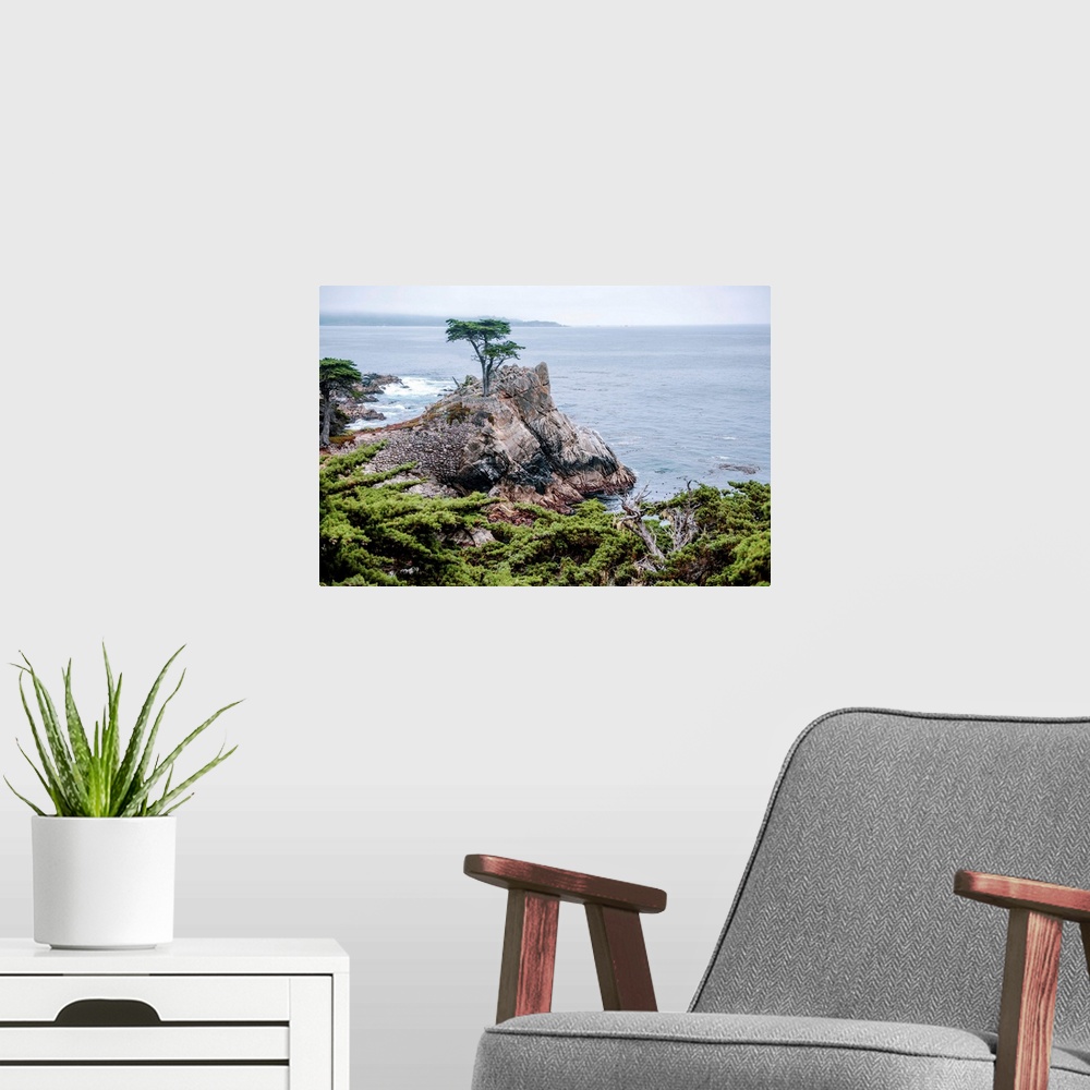 A modern room featuring View of the famous Lone Cypress tree in Pebble beach, California.