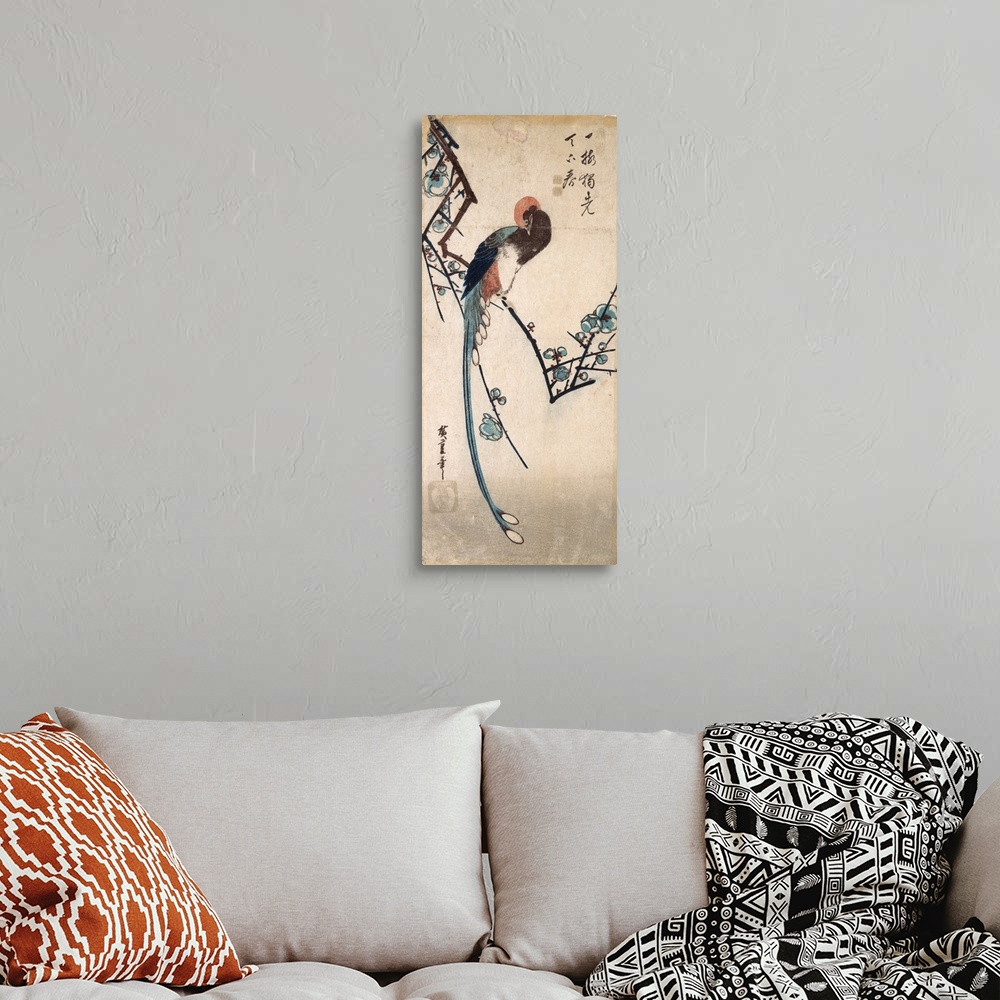 A bohemian room featuring Long Tailed Bird