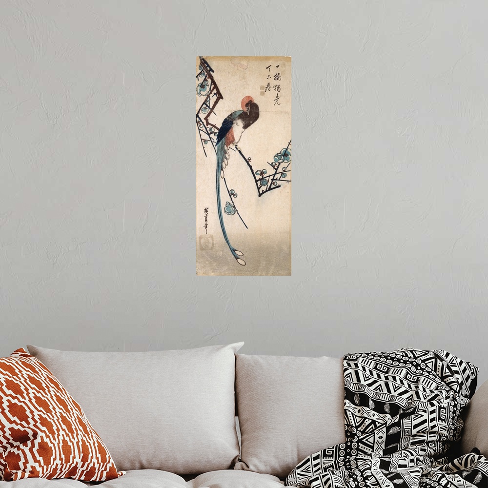 A bohemian room featuring Long Tailed Bird