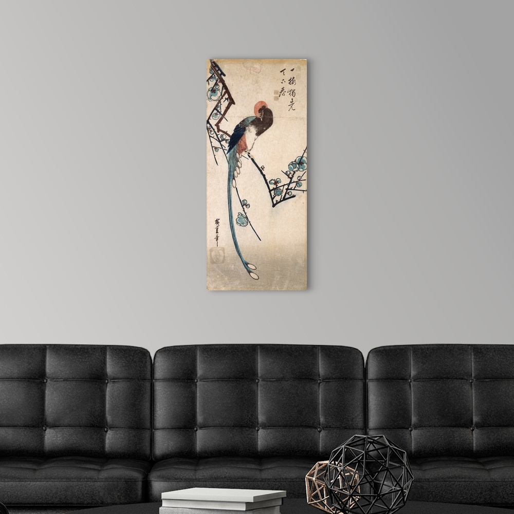A modern room featuring Long Tailed Bird