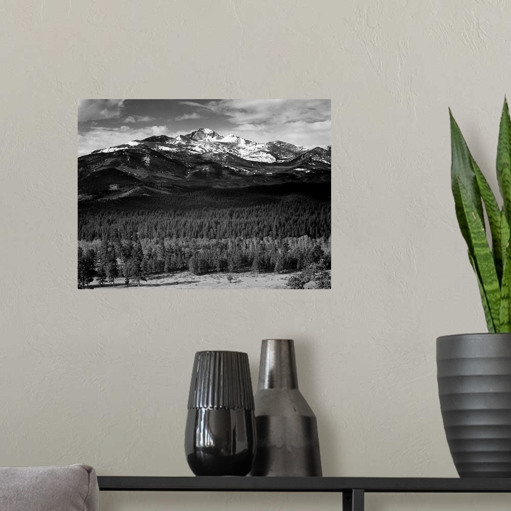 A modern room featuring Long's Peak from North, Rocky Mountain National Park, trees in foreground, snow covered mountain ...