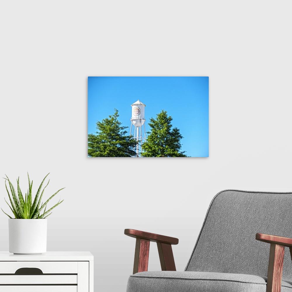 A modern room featuring Lucky Strike Water Tower over the trees, with a blue sky behind, American Tobacco Historic Distri...
