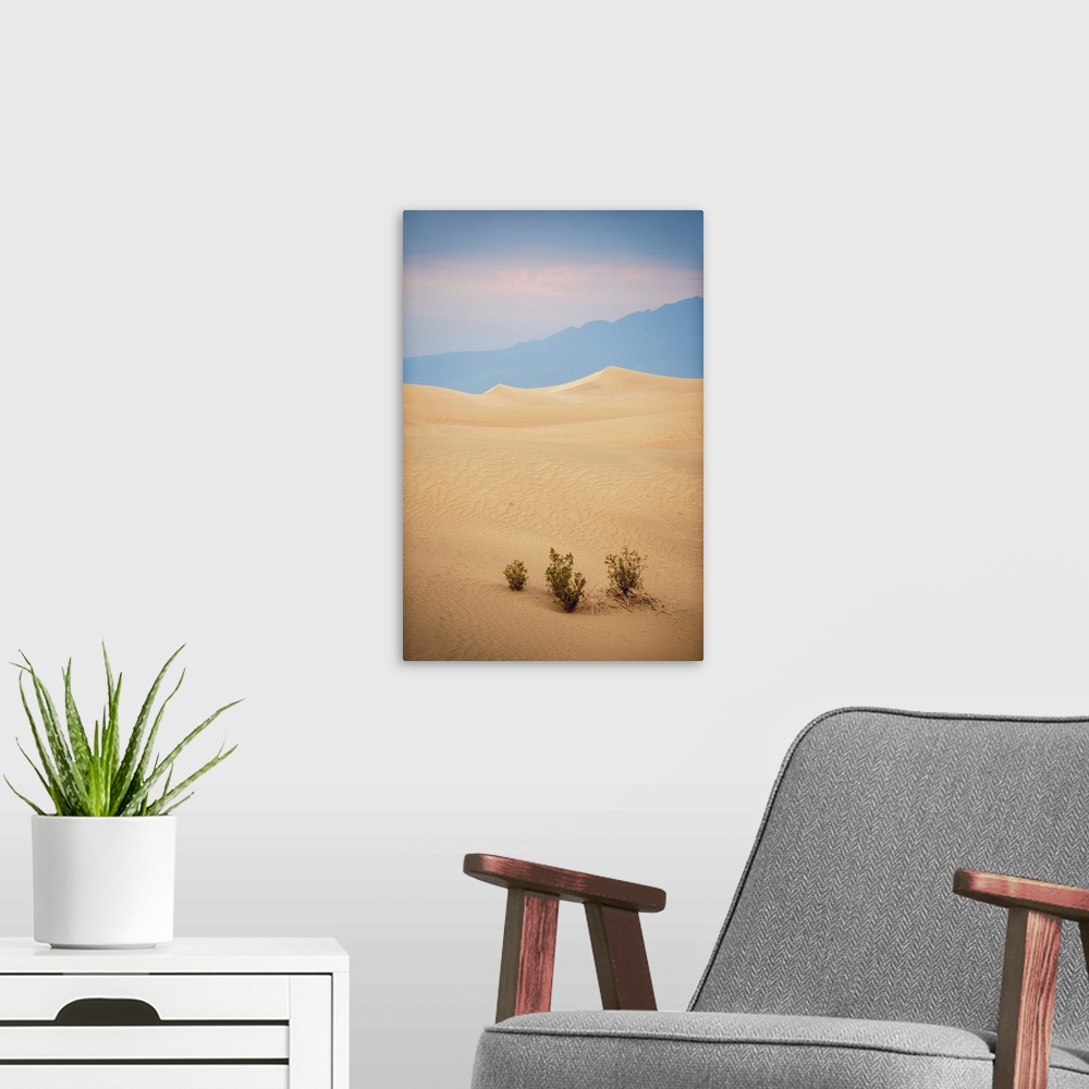 A modern room featuring View of crescent dunes in Mesquite Flat Sand Dunes of Death Valley, California.