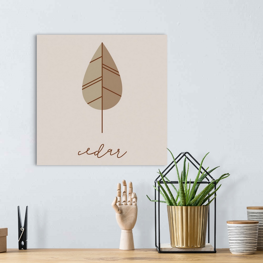 A bohemian room featuring A modern illustration of a cedar leaf in brown on a grey background.