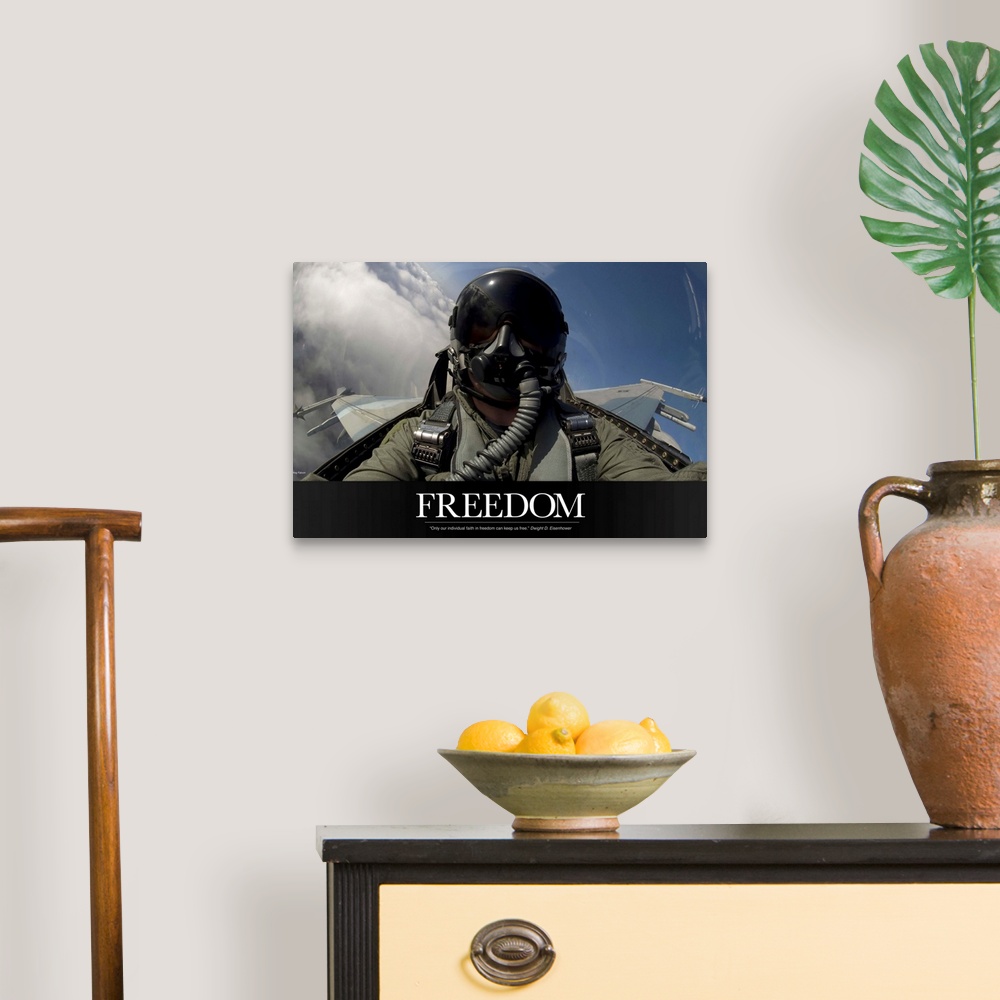 A traditional room featuring Military Motivational Poster: Freedom