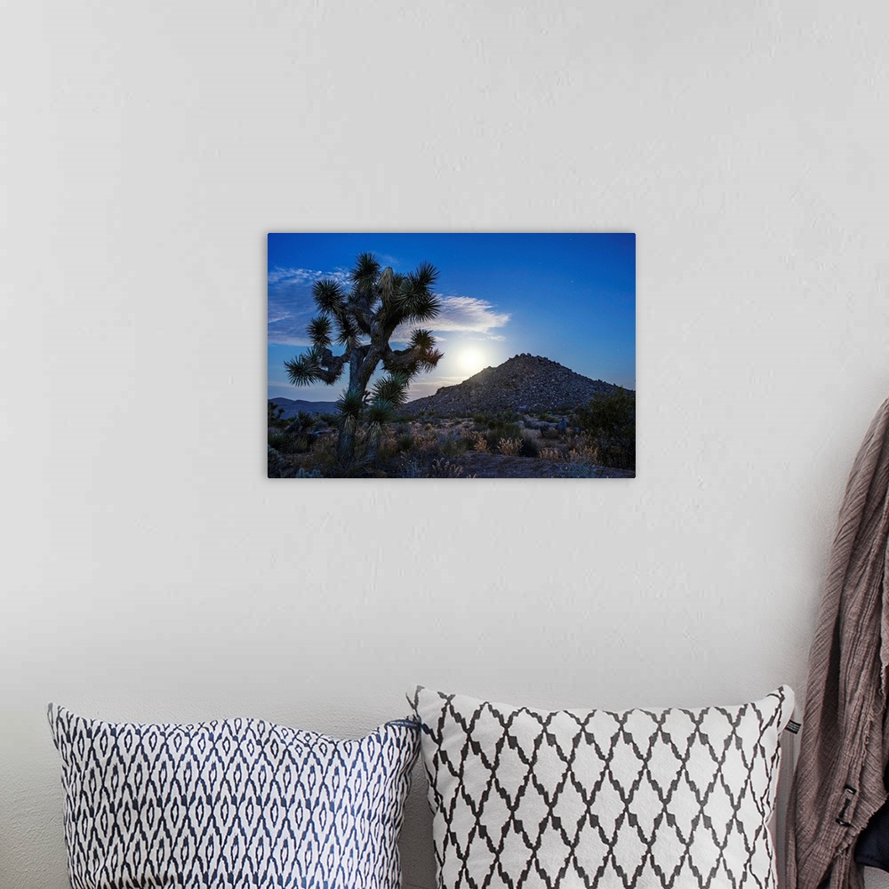 A bohemian room featuring Photo of the moon rising over a hill in Joshua Tree National Park, California.