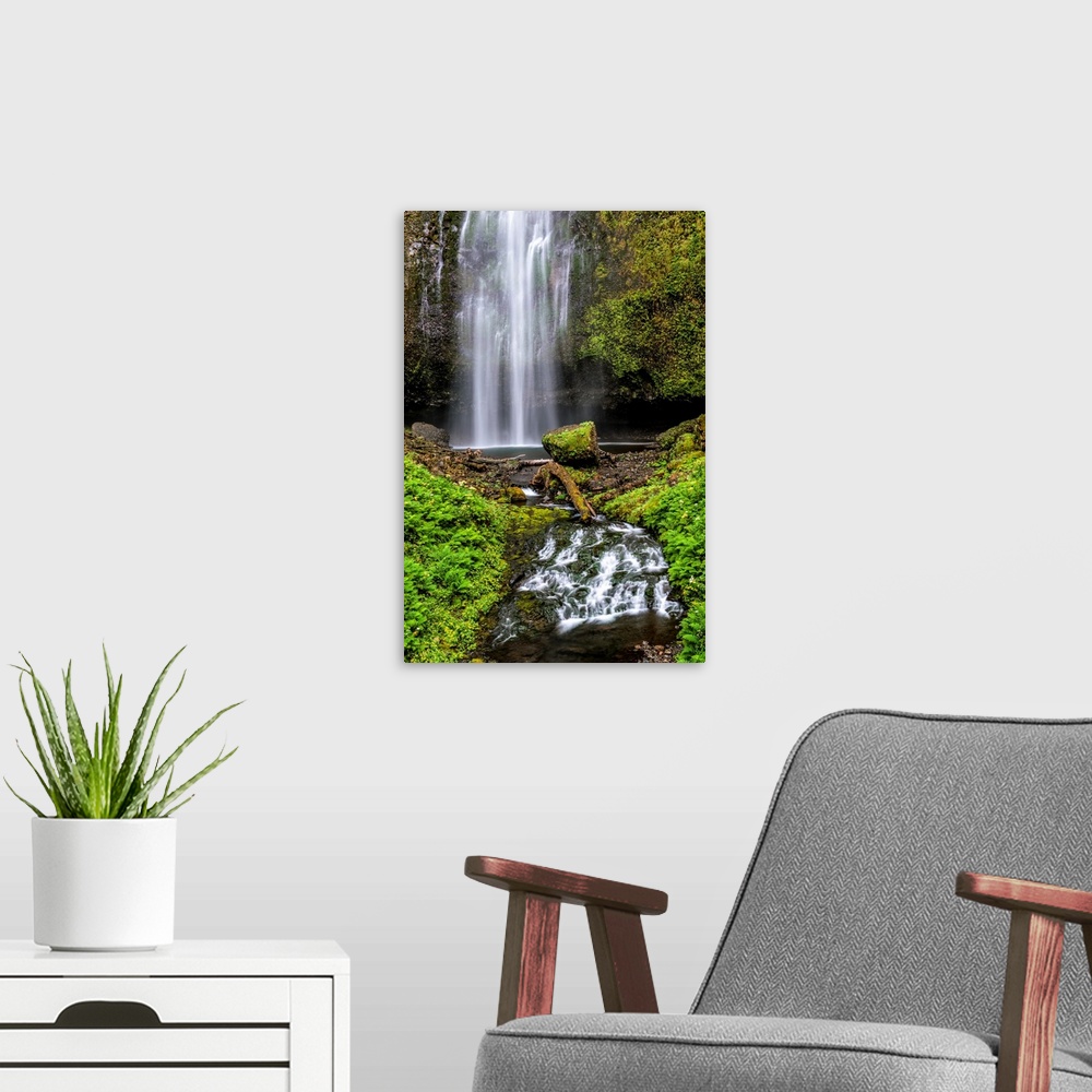 A modern room featuring View of Multnomah Falls in Portland, Oregon.