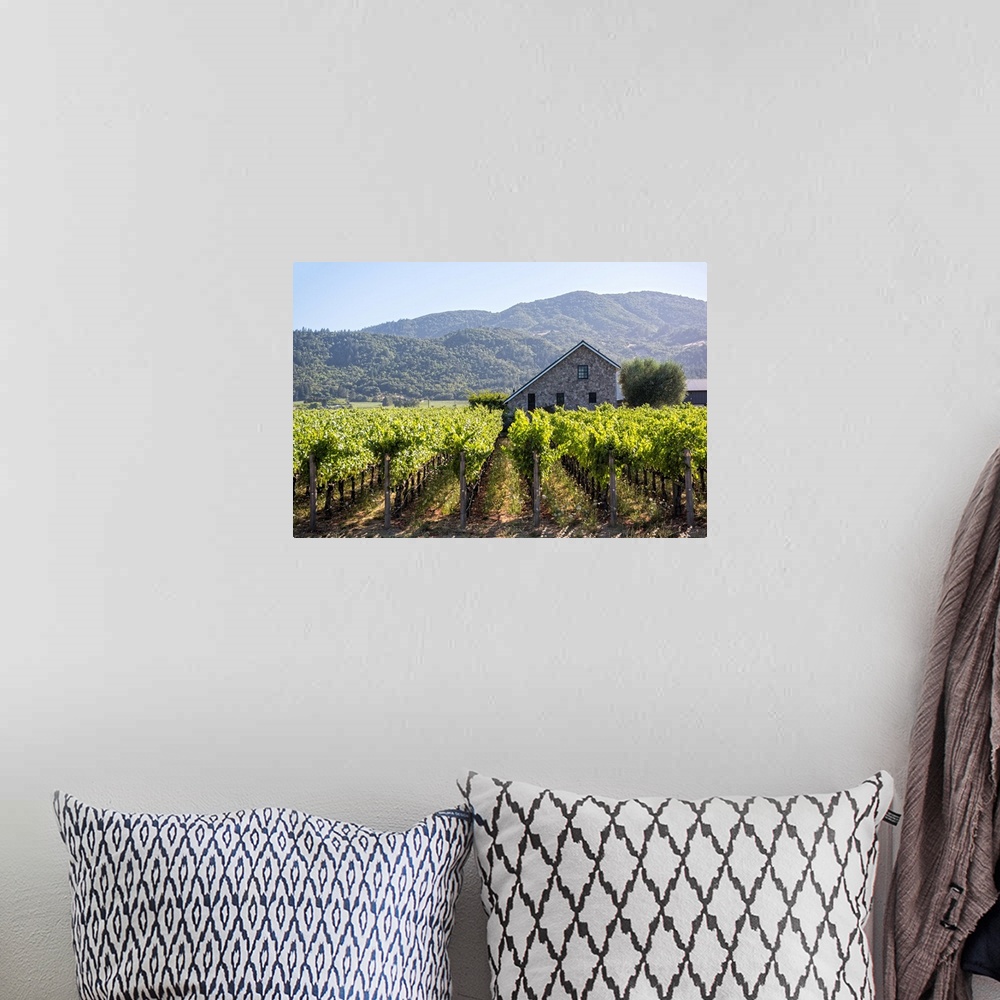 A bohemian room featuring Landscape photograph of a Napa Valley vineyard with rows of grape vines and a cobblestone buildin...