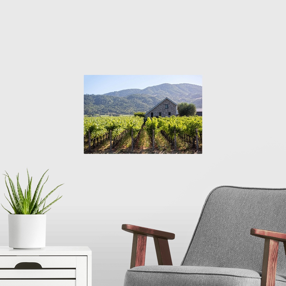 A modern room featuring Landscape photograph of a Napa Valley vineyard with rows of grape vines and a cobblestone buildin...