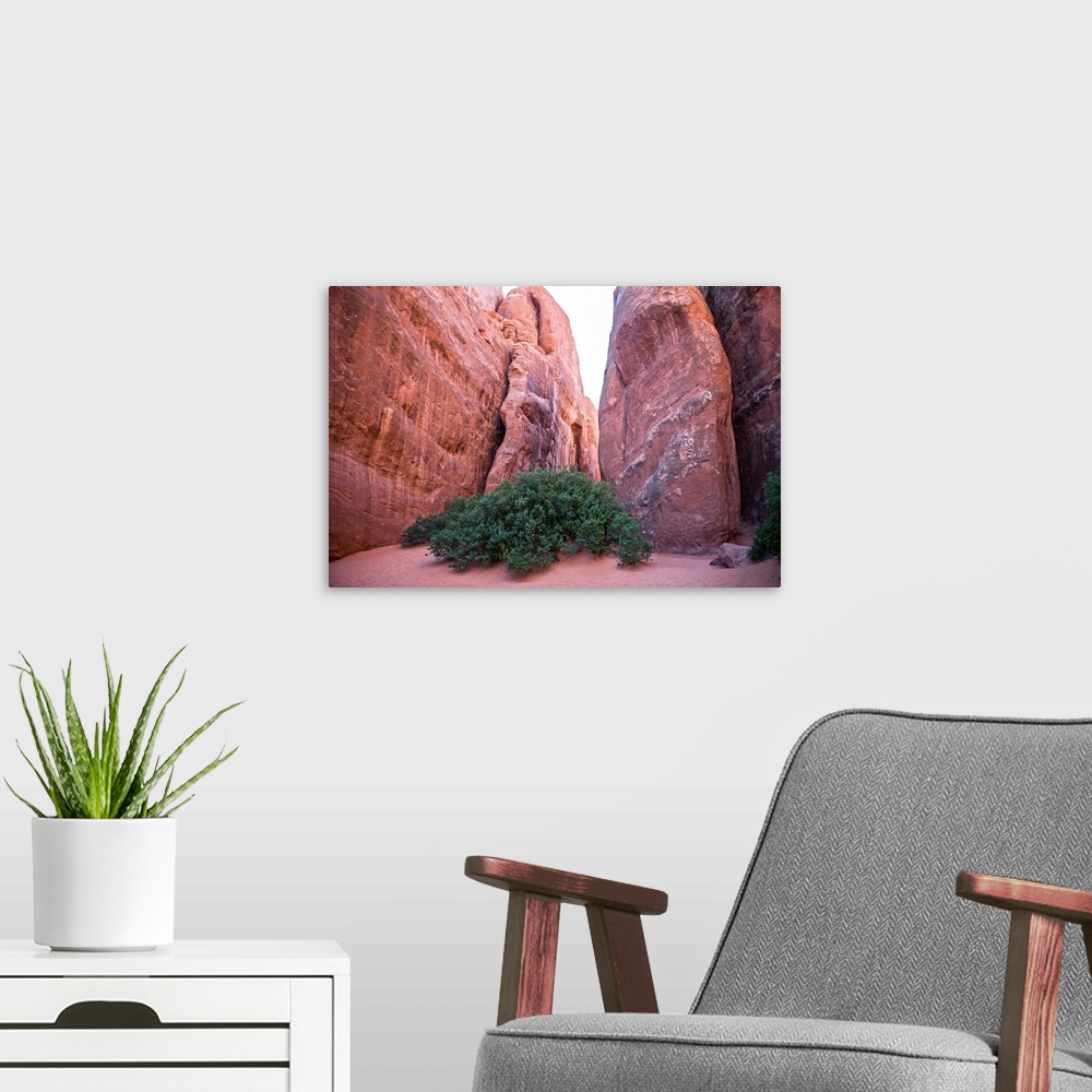 A modern room featuring Narrow sandy trail between red sandstone fins on the way to Sand Dune Arch, Arches National Park,...