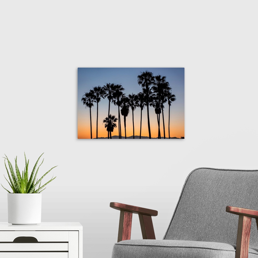 A modern room featuring The picturesque view of silhouetted palm trees on Venice beach, California.