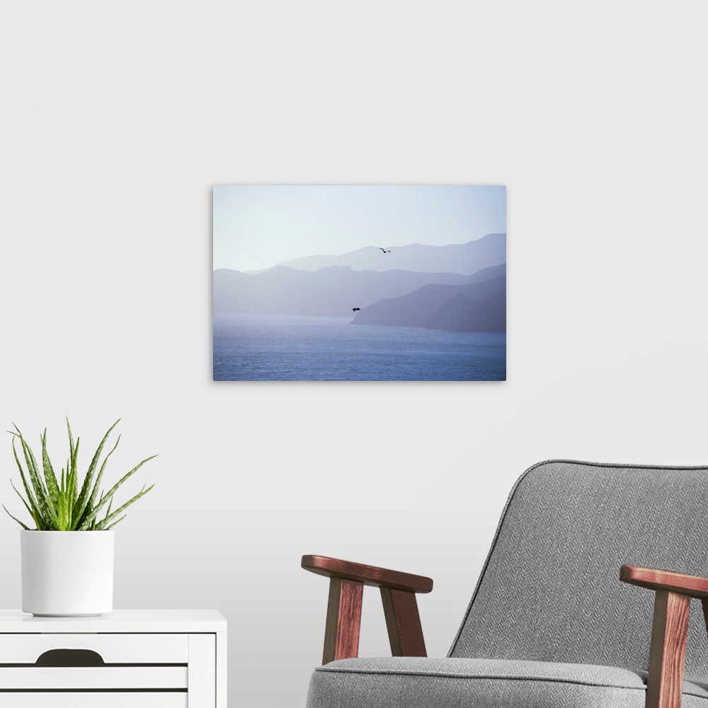 A modern room featuring Pelicans drift through the air against shades of blue in San Francisco, California.