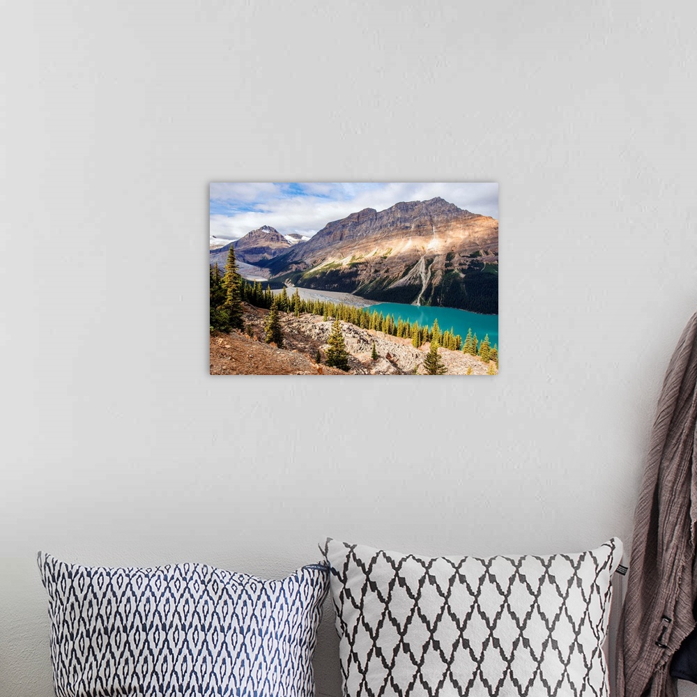 A bohemian room featuring Peyto Lake and Caldron Peak in Banff National Park, Alberta, Canada.