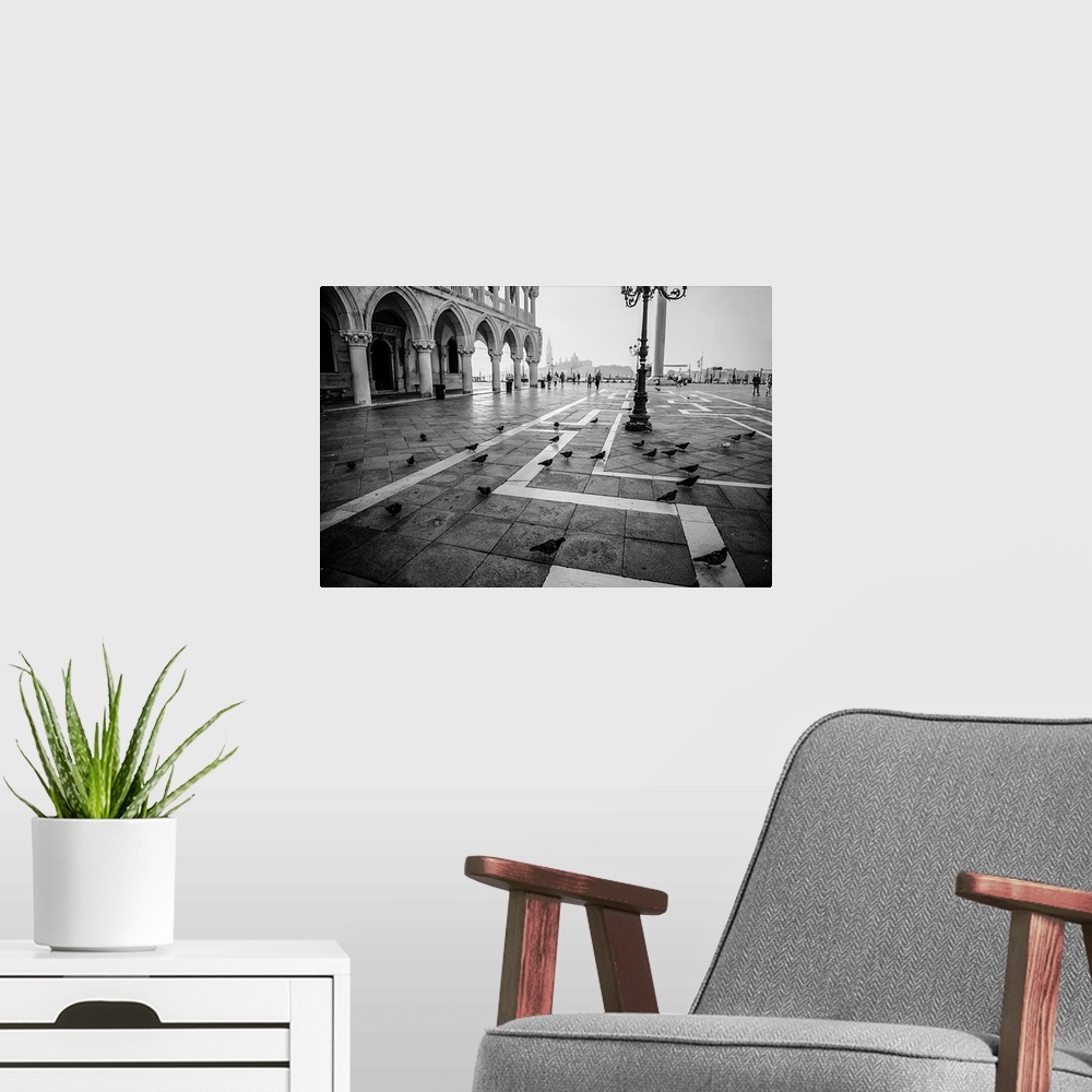 A modern room featuring Photograph of the pigeons at St. Mark's square in Venice, Italy.