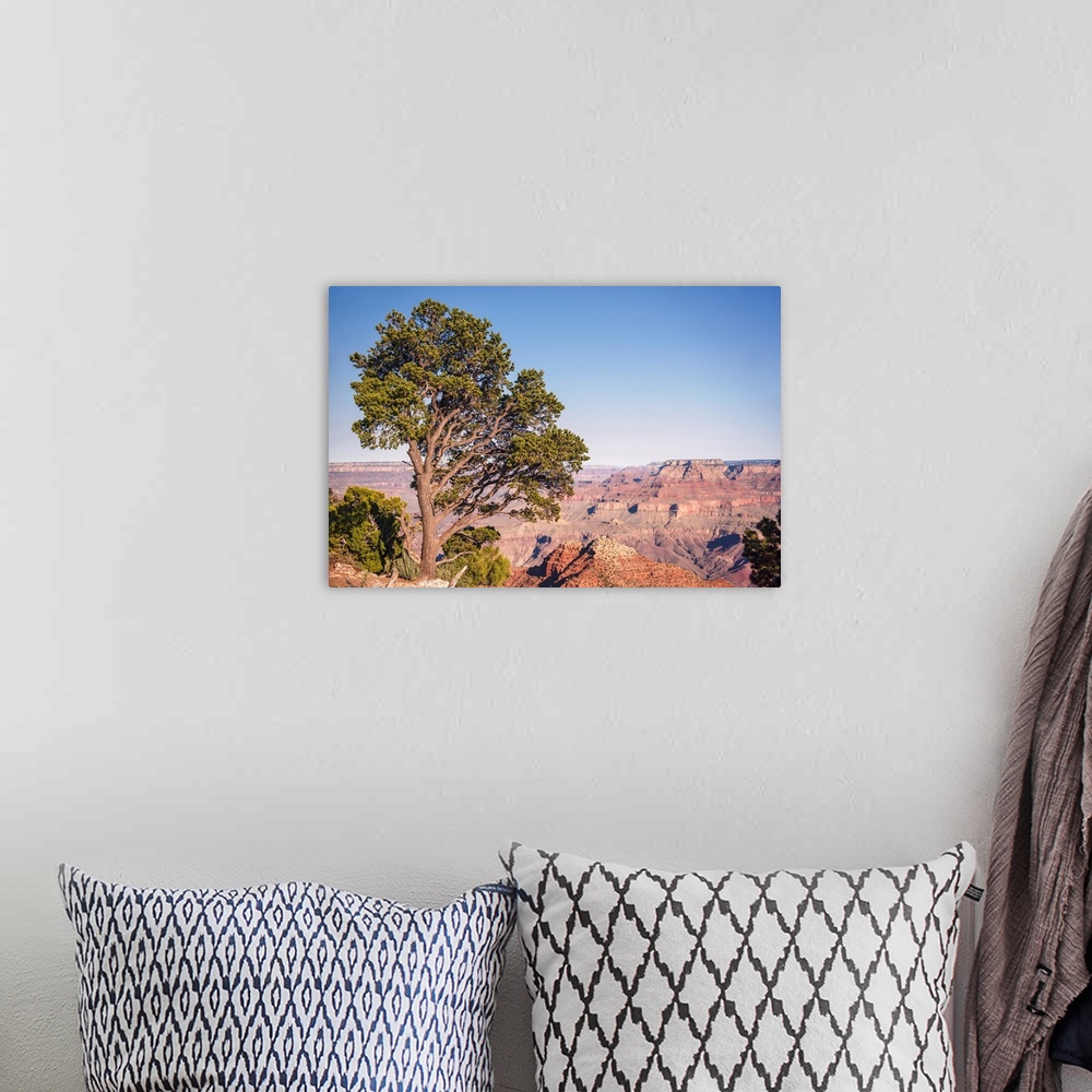 A bohemian room featuring Pinyon pine at Grand Canyon National Park, Arizona.