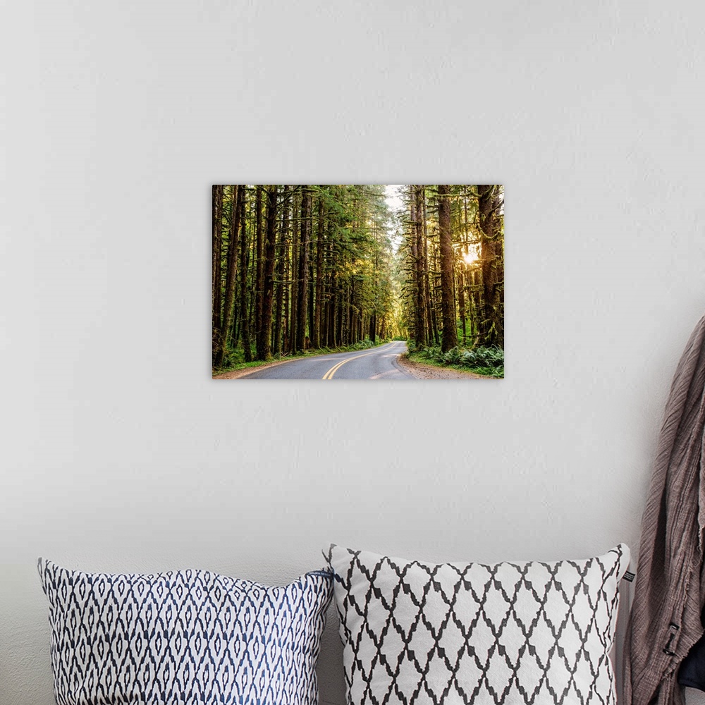 A bohemian room featuring View of a road that runs through Olympic National Park's wilderness in Washington.