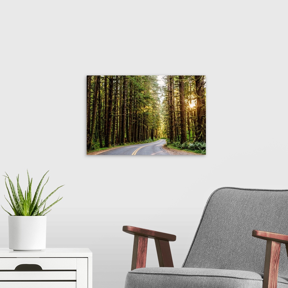 A modern room featuring View of a road that runs through Olympic National Park's wilderness in Washington.