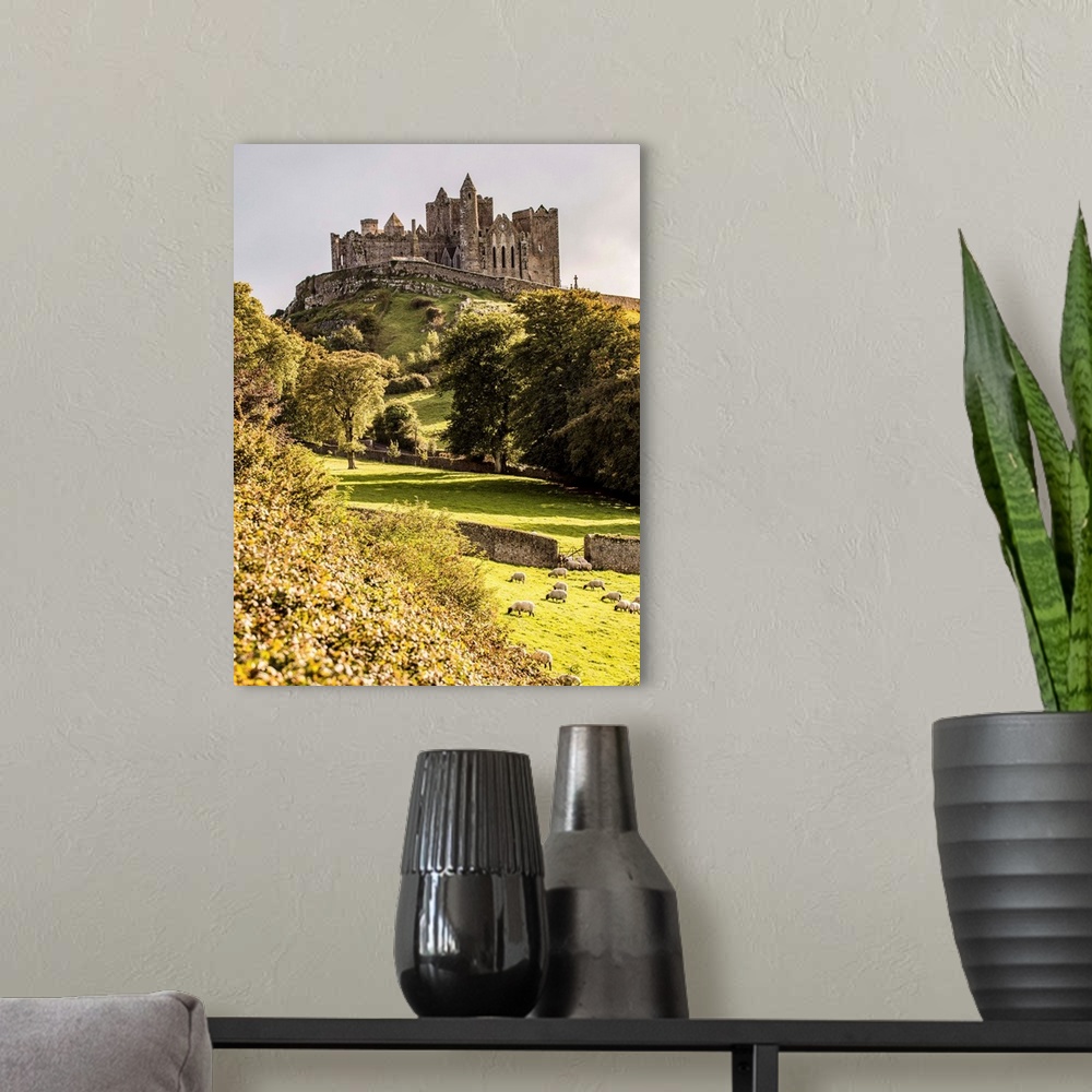A modern room featuring Photograph of the Rock of Cashel located in Cashel, County Tipperary, Ireland, with a field of sh...