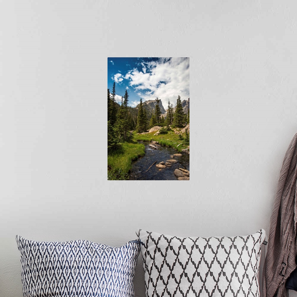 A bohemian room featuring Landscape photograph of a stream going through Rocky Mountain National Park on a beautiful day.
