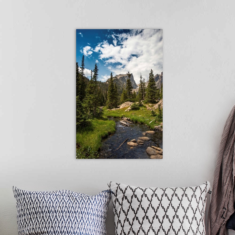 A bohemian room featuring Landscape photograph of a stream going through Rocky Mountain National Park on a beautiful day.