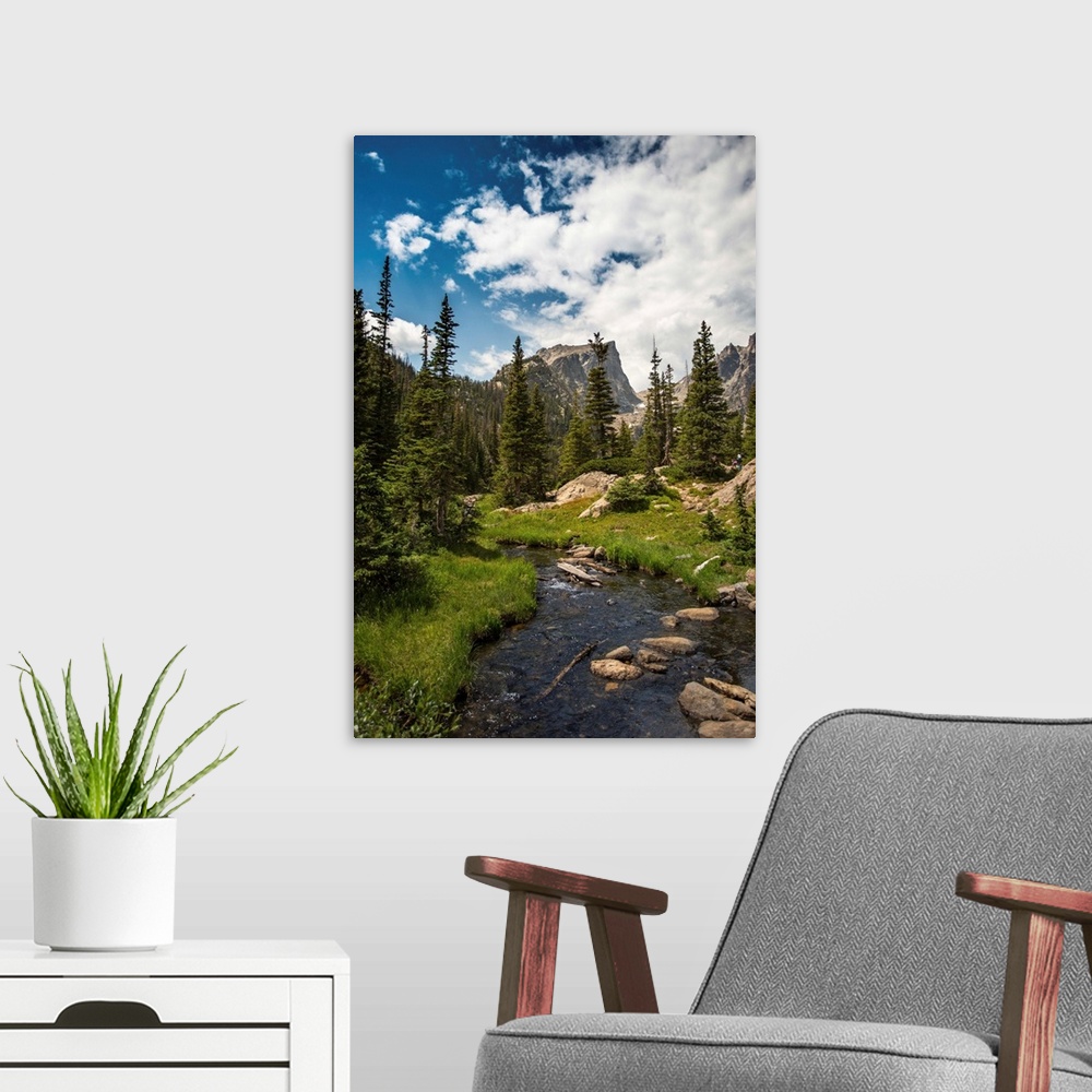 A modern room featuring Landscape photograph of a stream going through Rocky Mountain National Park on a beautiful day.