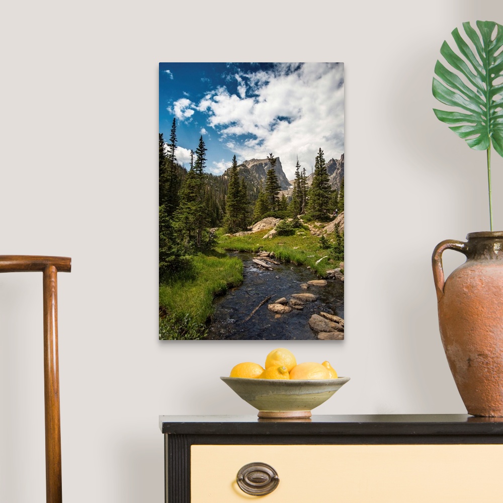 A traditional room featuring Landscape photograph of a stream going through Rocky Mountain National Park on a beautiful day.