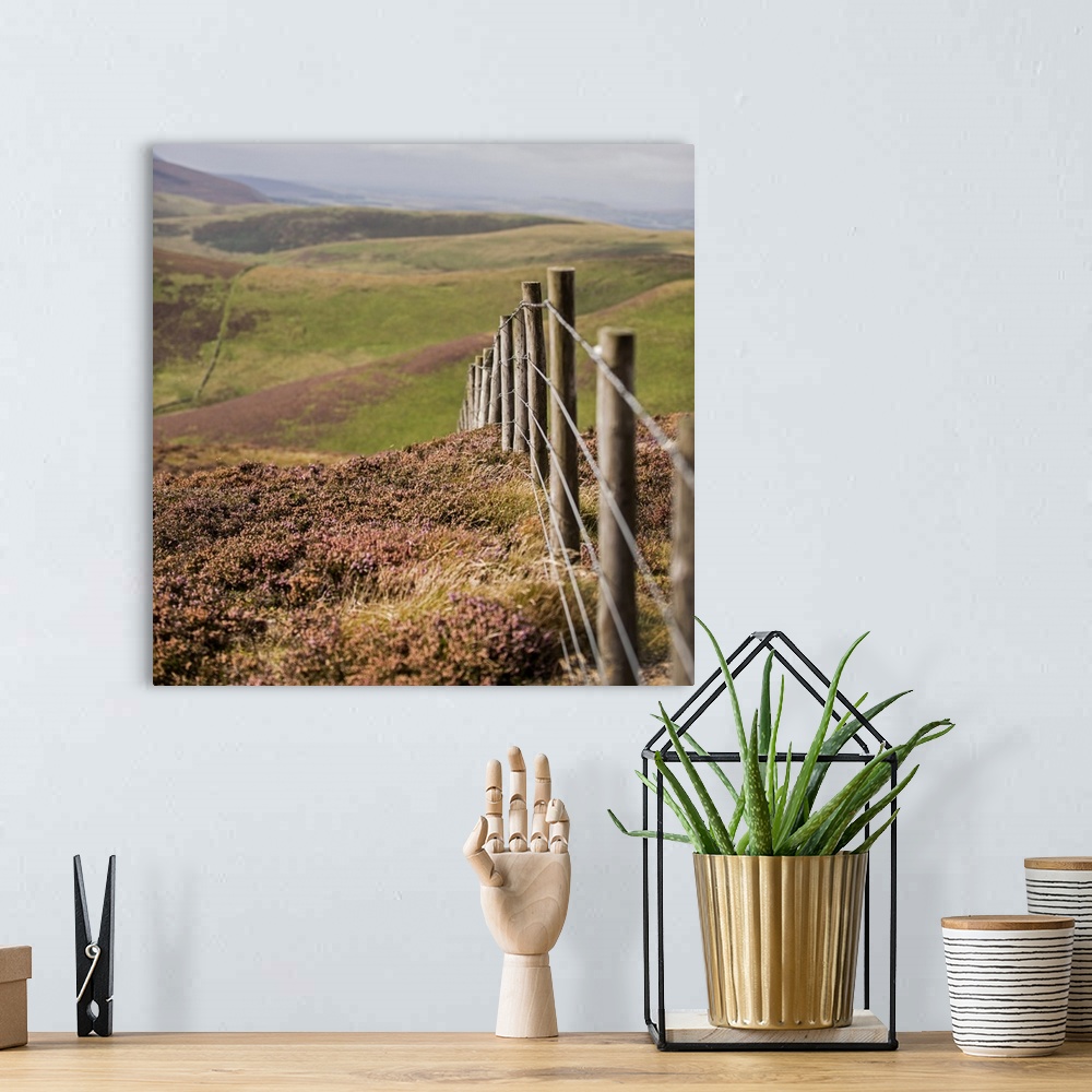 A bohemian room featuring Square photograph of a fence running though rolling hills in an Edinburgh countryside, Scotland, UK