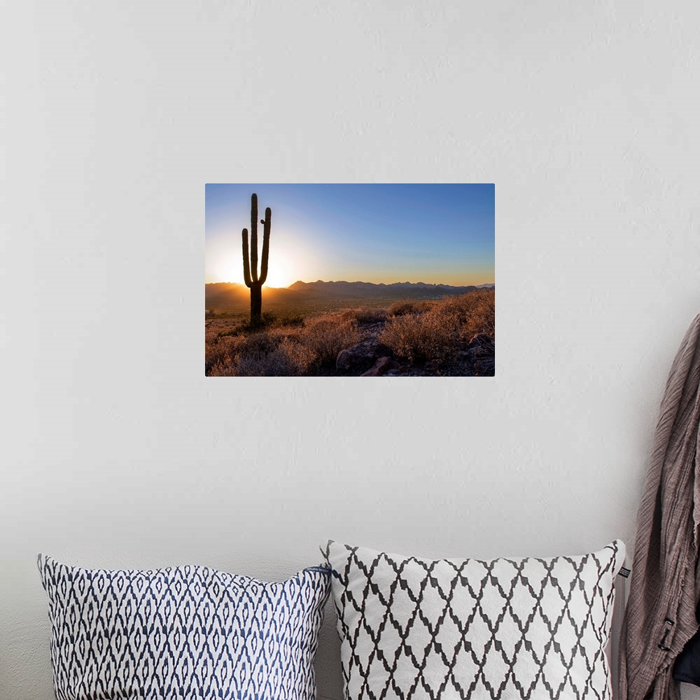 A bohemian room featuring Saguaro cactus at sunset in Phoenix, Arizona.