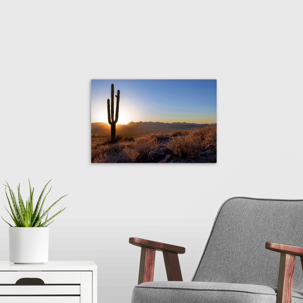 A modern room featuring Saguaro cactus at sunset in Phoenix, Arizona.