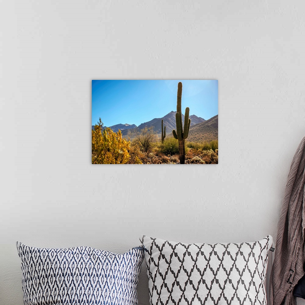 A bohemian room featuring View of Saguaro cactus in Phoenix, Arizona.