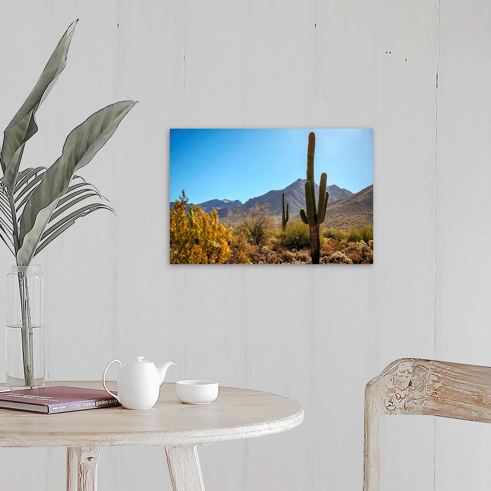 A farmhouse room featuring View of Saguaro cactus in Phoenix, Arizona.