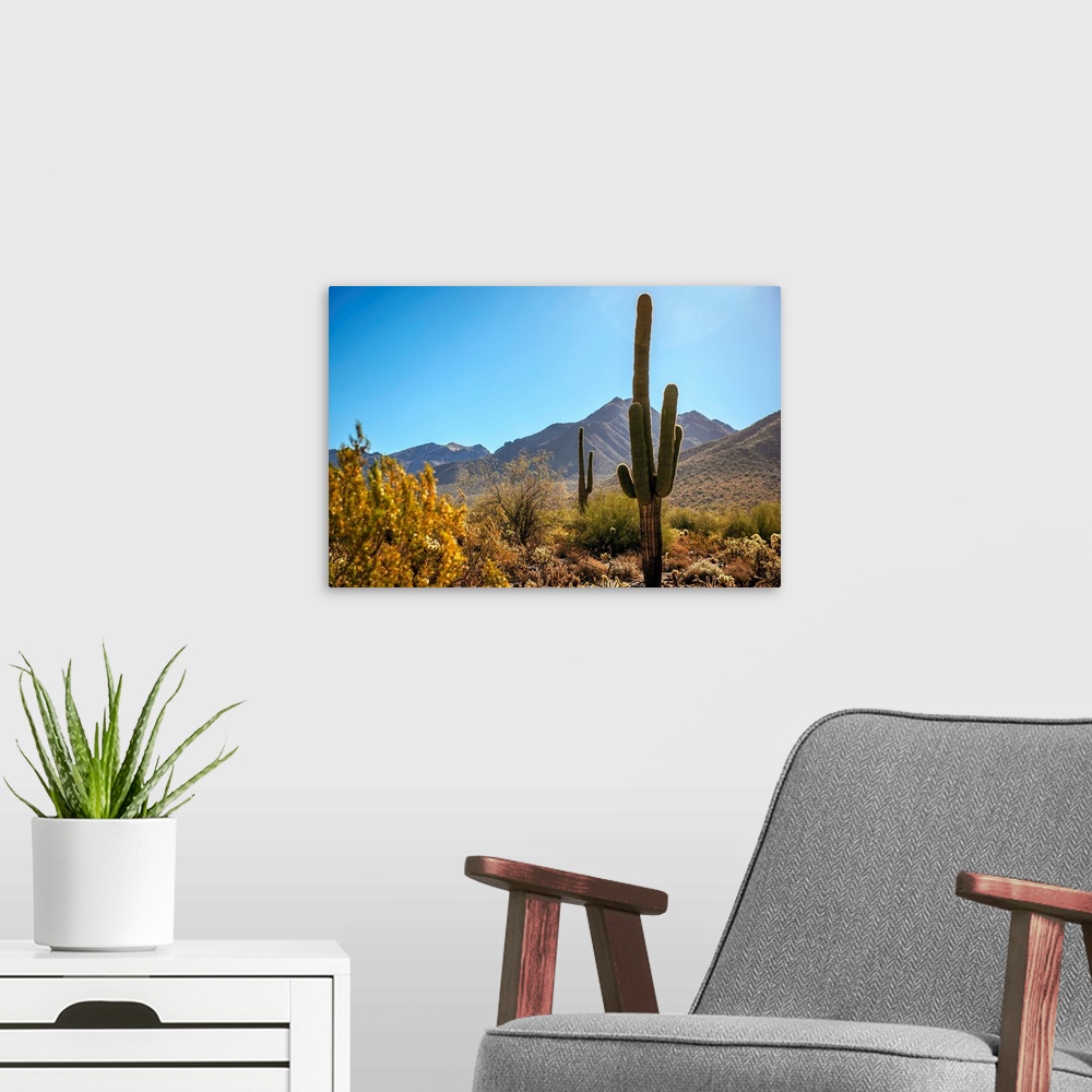 A modern room featuring View of Saguaro cactus in Phoenix, Arizona.