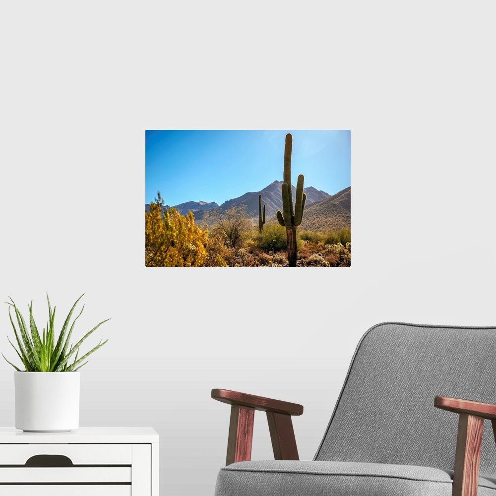 A modern room featuring View of Saguaro cactus in Phoenix, Arizona.