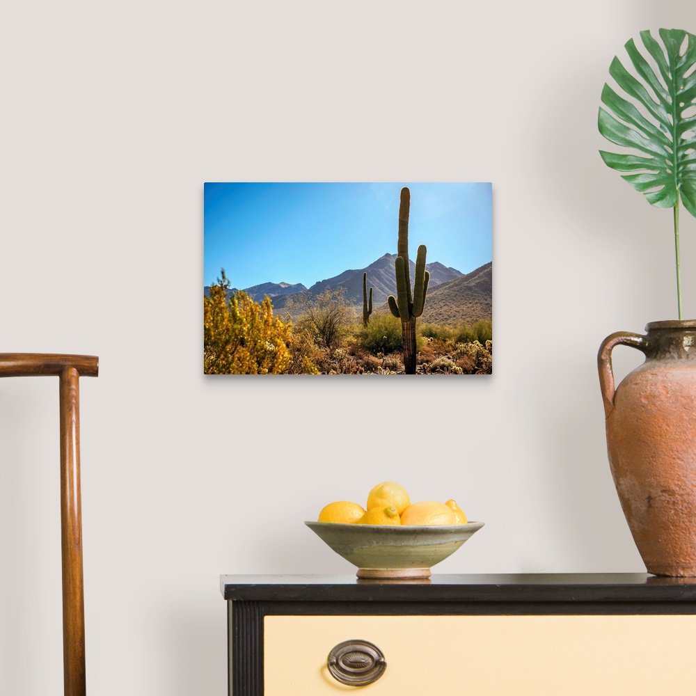 A traditional room featuring View of Saguaro cactus in Phoenix, Arizona.