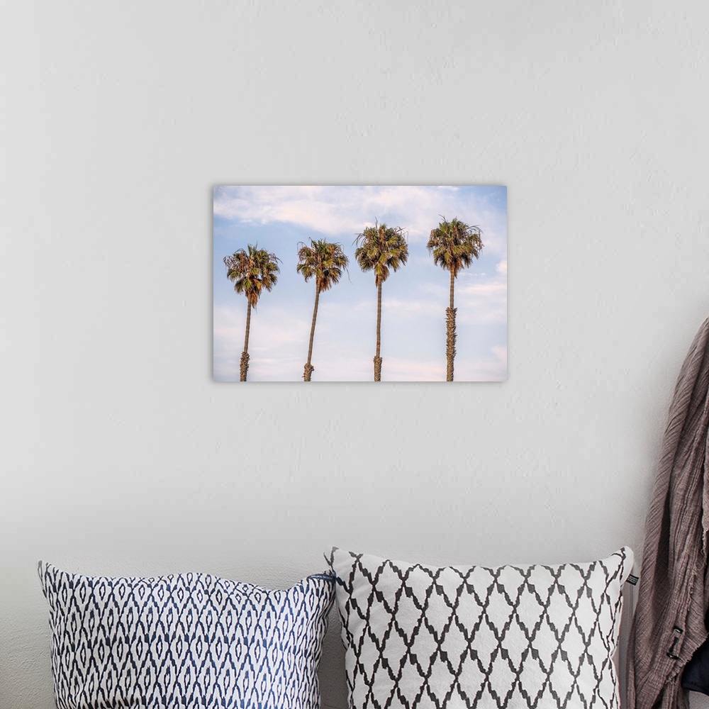 A bohemian room featuring A row of palm trees stand against blue skies in San Diego, California.