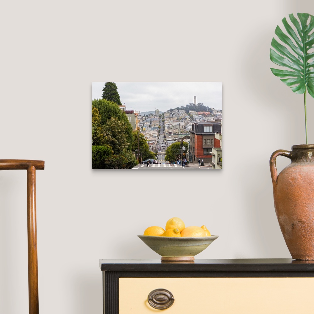 A traditional room featuring Street view photograph of San Francisco highlighting how hilly the roads are.