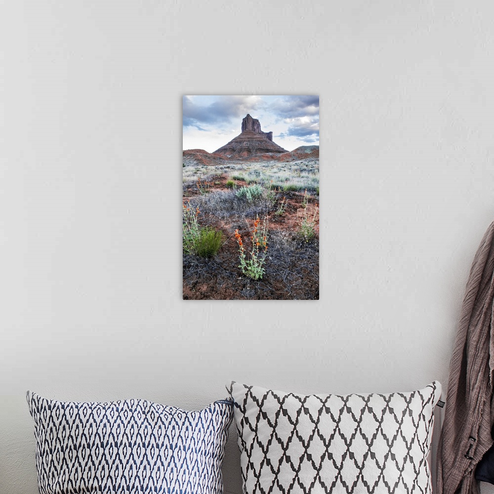 A bohemian room featuring Red and purple wildflowers with a sandstone rock formation in the distance, Arches National Park,...
