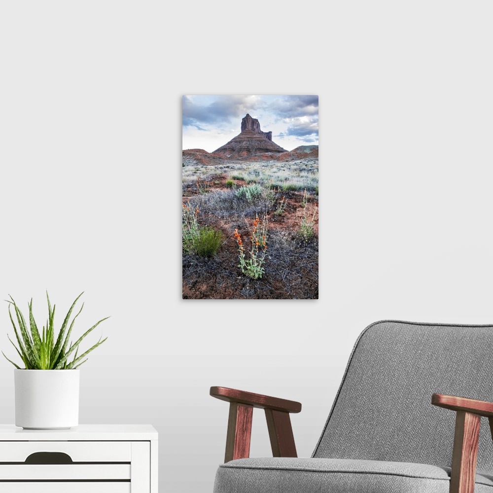 A modern room featuring Red and purple wildflowers with a sandstone rock formation in the distance, Arches National Park,...