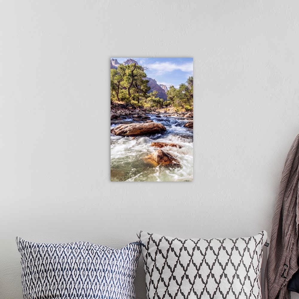 A bohemian room featuring View of the shallow rapids of Virgin River in Zion National Park.