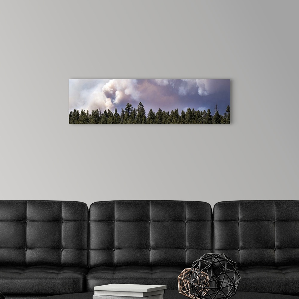 A modern room featuring The sky over a line of pine trees fills with dark smoke from the Brian Head forest fire in Utah.